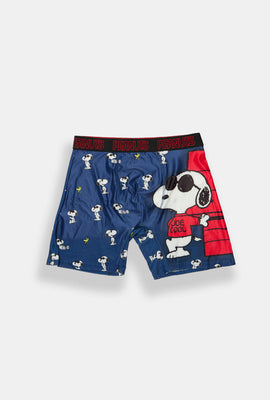 Peanuts Snoopy & Woodstock Dog House Boxer Brief