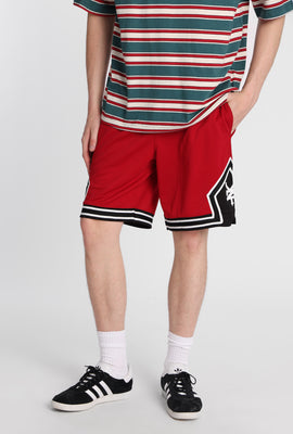 Short en maille de basketball Zoo York
