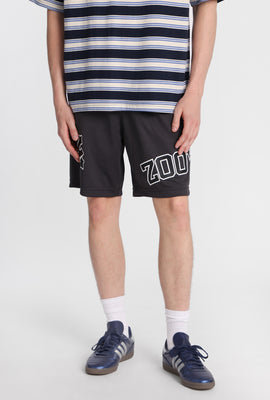 Zoo York Logo Mesh Shorts