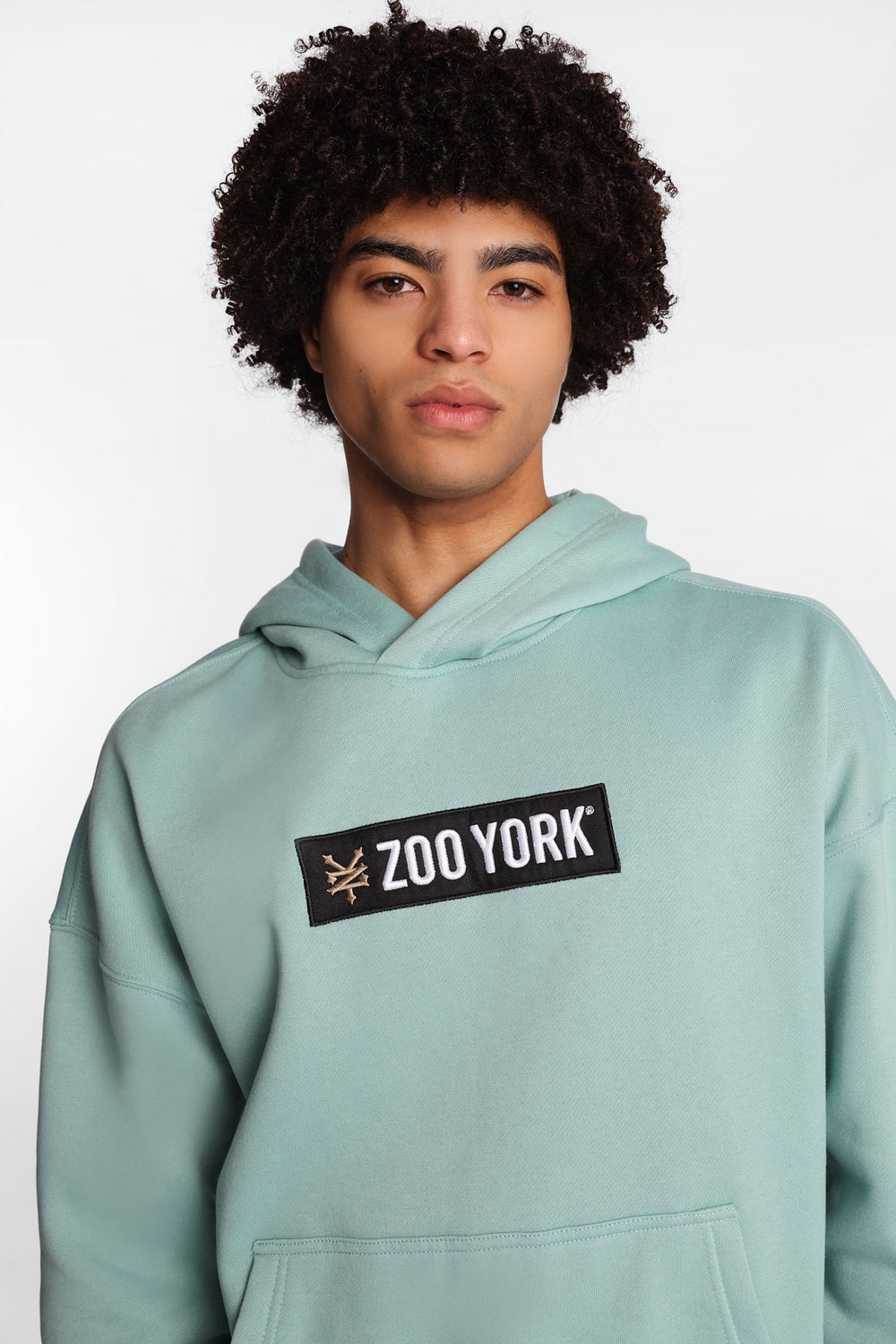 Zoo York Embroidered Box Logo Hoodie Zoo York Embroidered Box Logo Hoodie