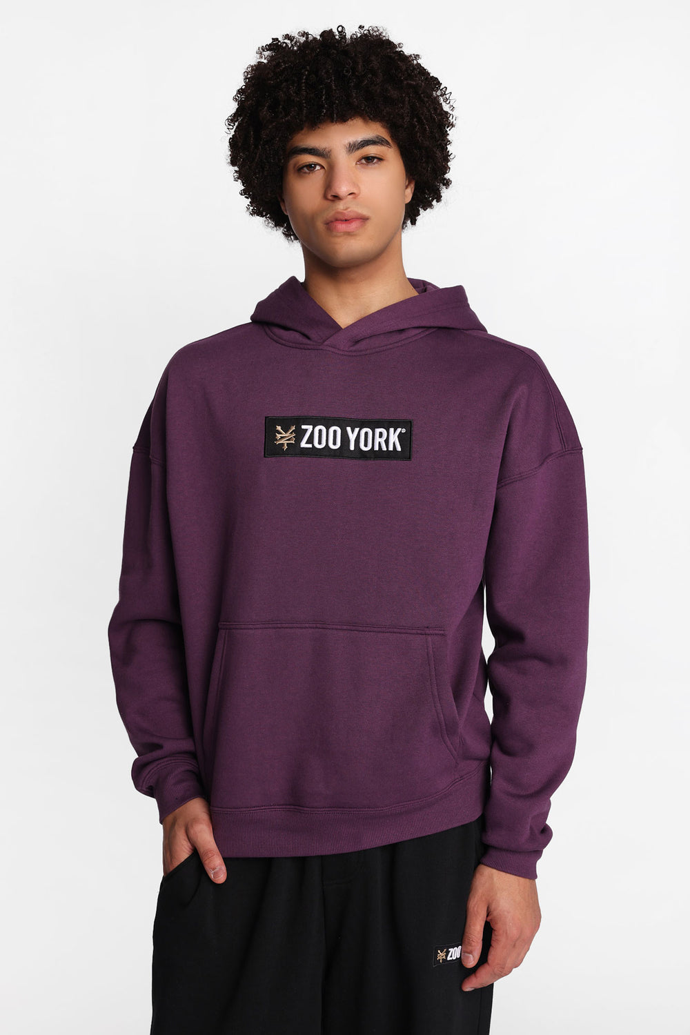 Zoo York Embroidered Box Logo Hoodie Zoo York Embroidered Box Logo Hoodie