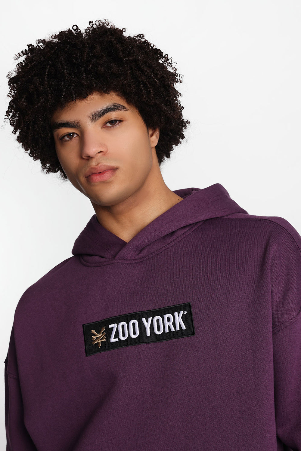 Zoo York Embroidered Box Logo Hoodie Zoo York Embroidered Box Logo Hoodie