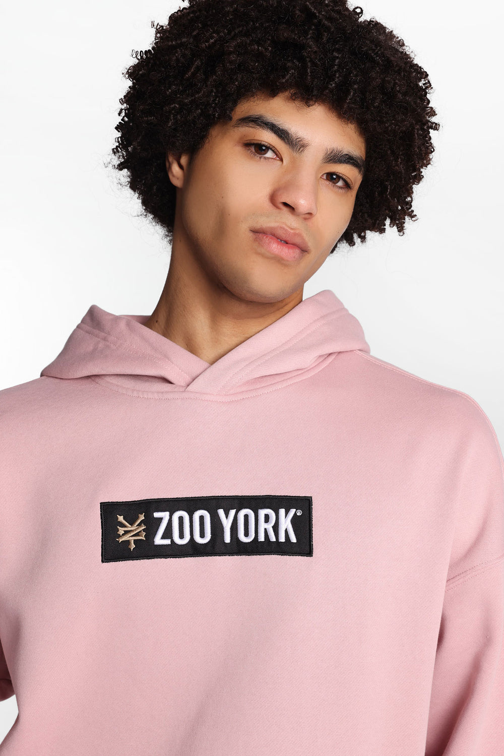 Zoo York Embroidered Box Logo Hoodie Zoo York Embroidered Box Logo Hoodie