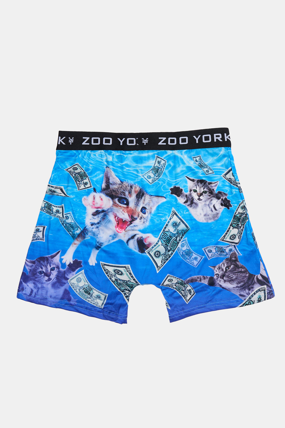 Boxer imprimé chatons et dollars Zoo York homme Boxer imprimé chatons et dollars Zoo York homme