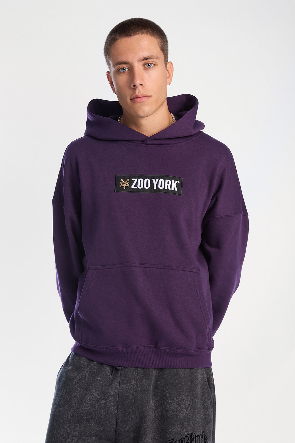 Zoo York Box Logo Hoodie Zoo York Box Logo Hoodie