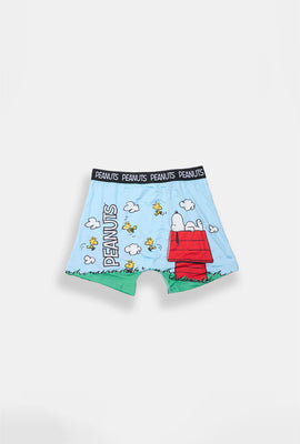 Youth Peanuts Snoopy Doghouse Printed Boxer Briefs