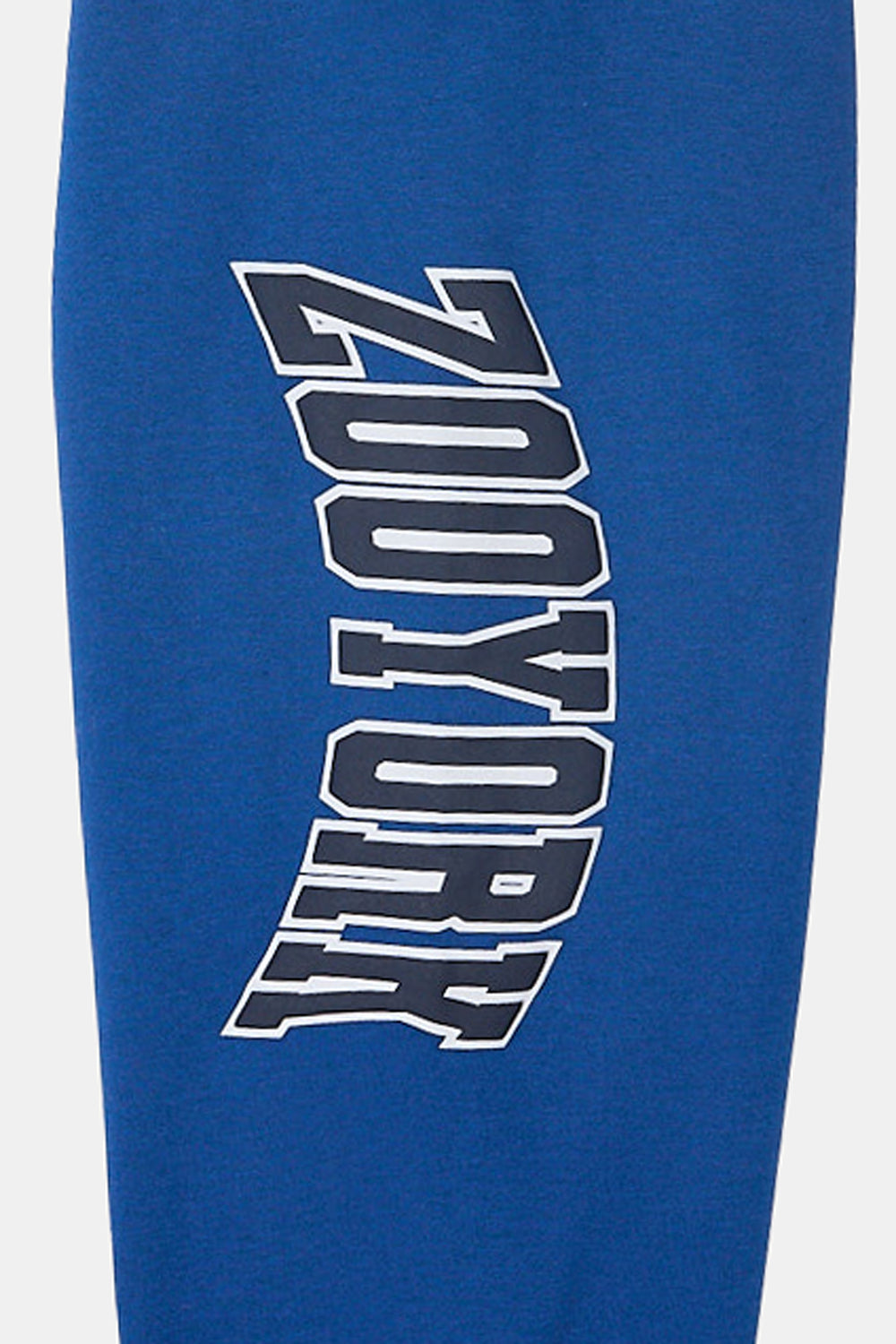 Zoo York Youth Varsity Logo Sweatpant Zoo York Youth Varsity Logo Sweatpant