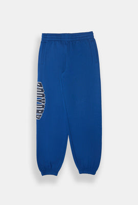 Zoo York Youth Varsity Logo Sweatpant