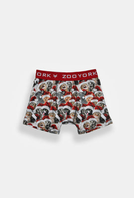 Zoo York Youth Cats & Santa Hats Boxer Brief