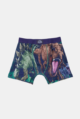 Youth Jurassic World Dinosaur Boxer Brief