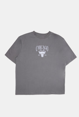 Mens Chicago Bulls Embroidered Graphic T-Shirt