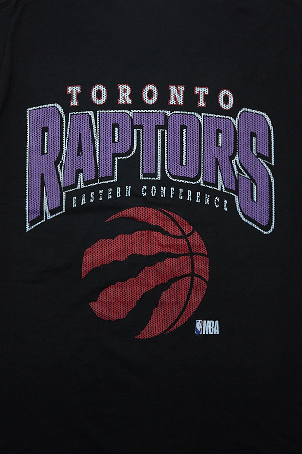 Toronto Raptors Eastern Conference Graphic Tee Toronto Raptors Eastern Conference Graphic Tee